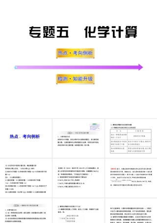 2012年中考化学第二轮复习 专题五化学计算