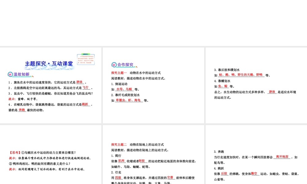 2013年八年级生物上册 第十五章 动物的运动 5.15.1动物运动的方式课件 北师大版