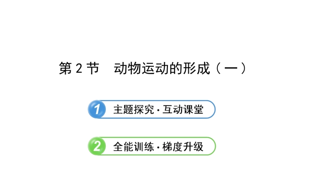 2013年八年级生物上册 第十五章 动物的运动 5.15.2动物运动的形成（一）课件 北师大版