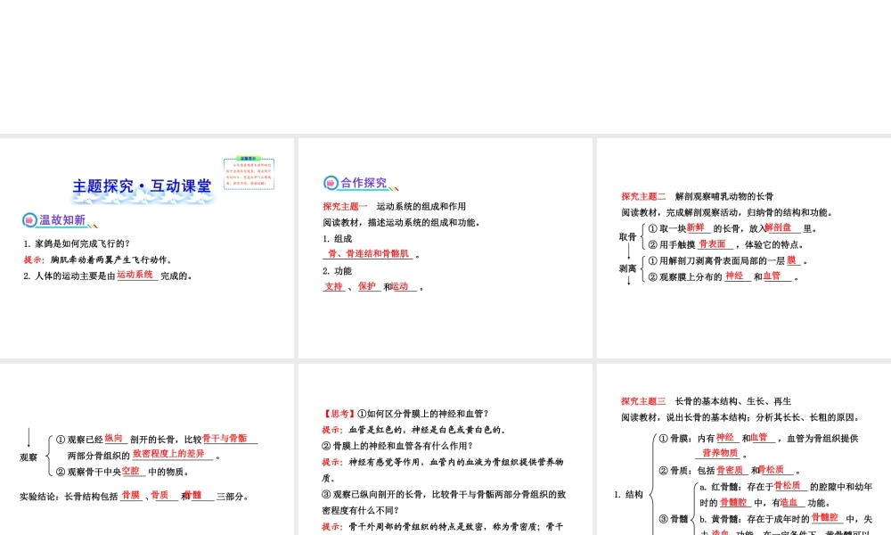 2013年八年级生物上册 第十五章 动物的运动 5.15.2动物运动的形成（一）课件 北师大版
