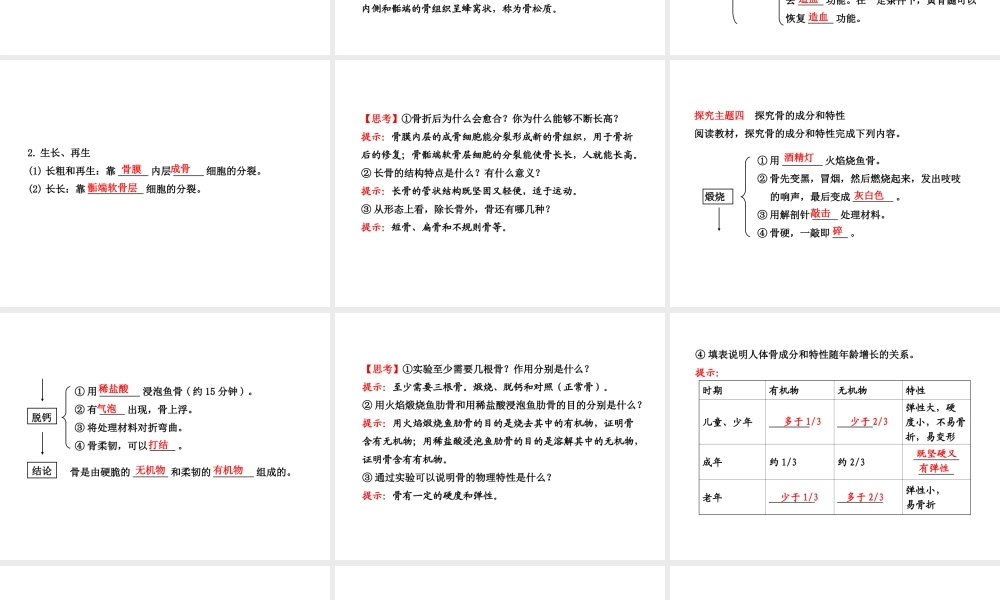 2013年八年级生物上册 第十五章 动物的运动 5.15.2动物运动的形成（一）课件 北师大版