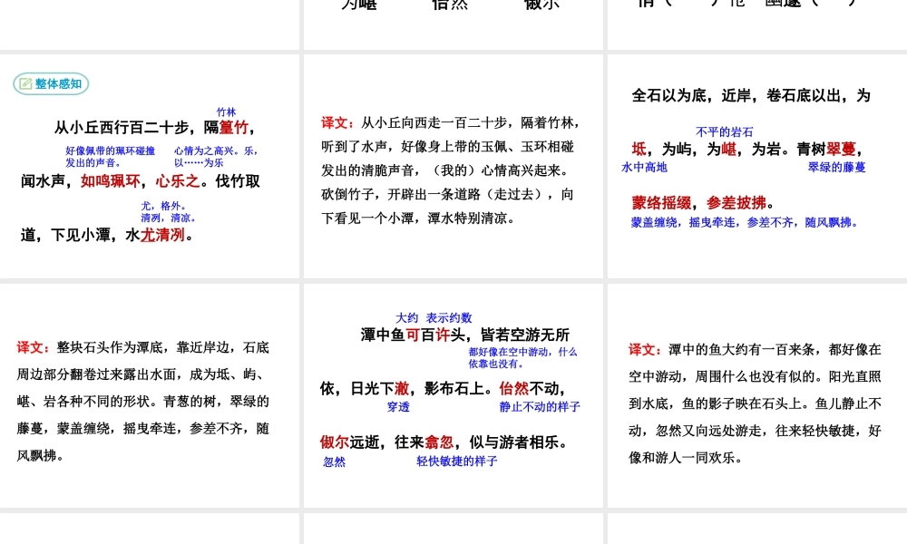 10.小石潭记课件