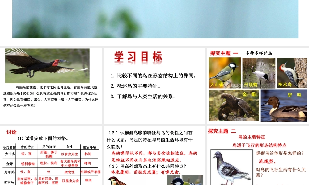 2013年八年级生物上册 第五单元 第一章 第六节 鸟课件 新人教版