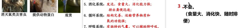 2013年八年级生物上册 第五单元 第一章 第六节 鸟课件 新人教版