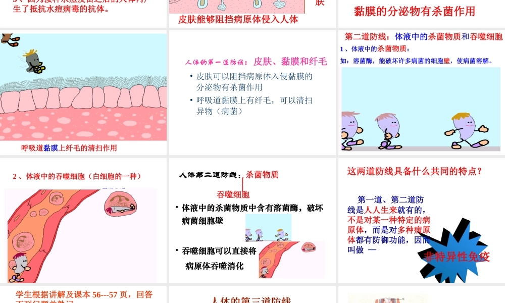 2013年八年级生物下册 8.1.2 免疫与计划免疫课件 新人教版