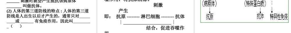 2013年八年级生物下册 8.1.2 免疫与计划免疫课件 新人教版