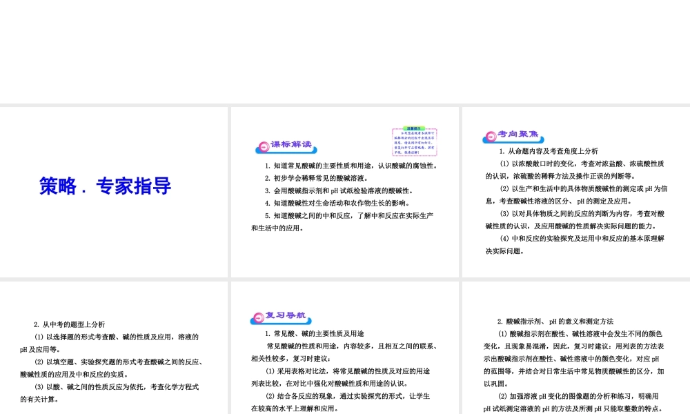 2012年中考化学第一轮复习 第十单元 酸和碱课件 人教新课标版