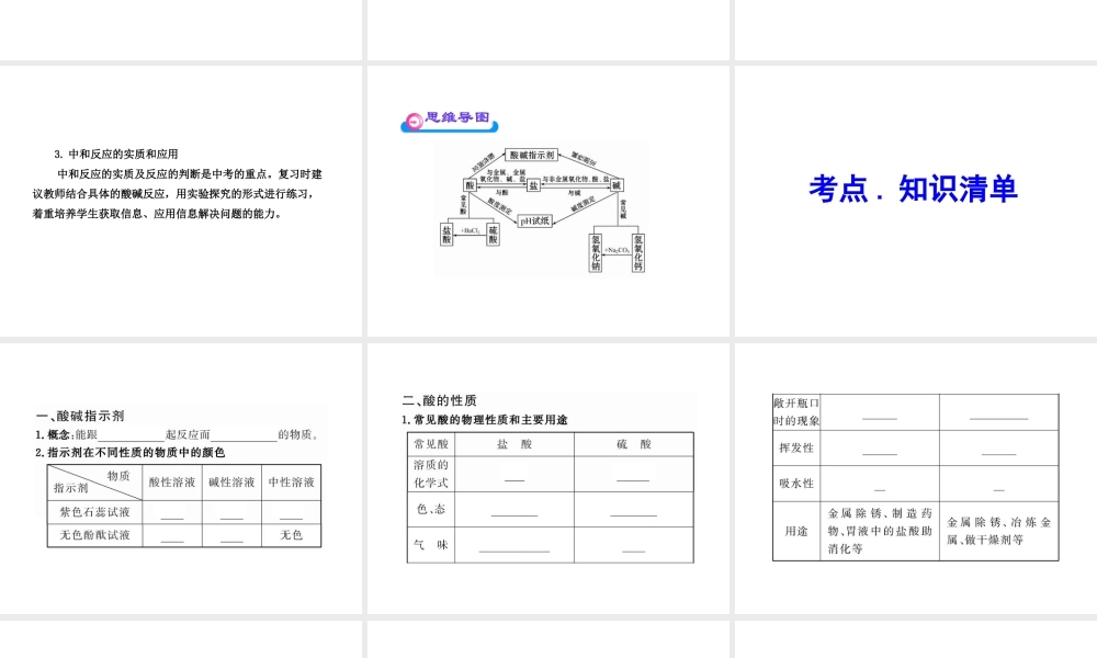 2012年中考化学第一轮复习 第十单元 酸和碱课件 人教新课标版