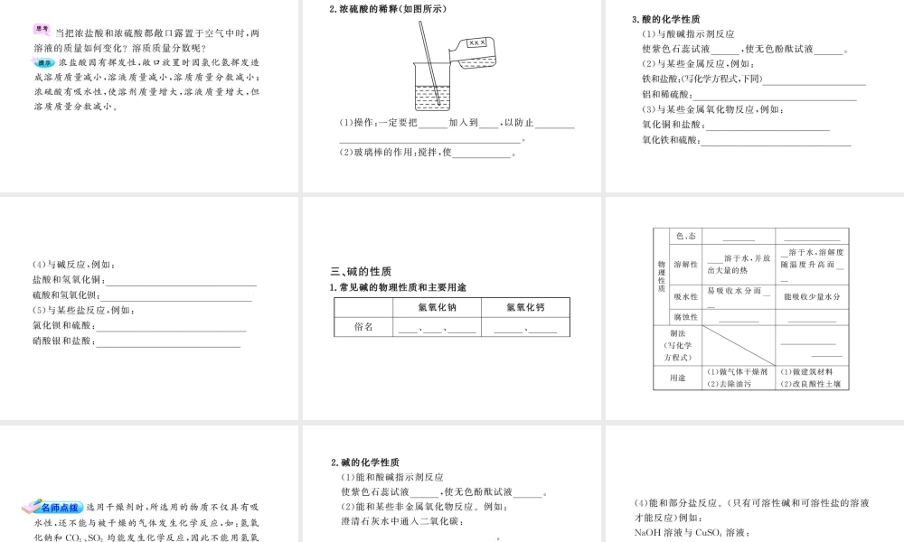 2012年中考化学第一轮复习 第十单元 酸和碱课件 人教新课标版