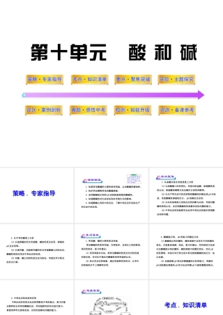 2012年中考化学第一轮复习 第十单元 酸和碱课件 人教新课标版