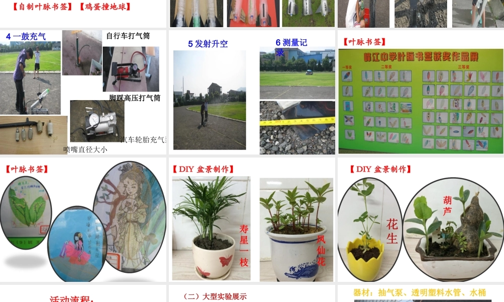 10年科学实验拓展活动汇报课件 浙教版-浙教版初中全册自然科学课件