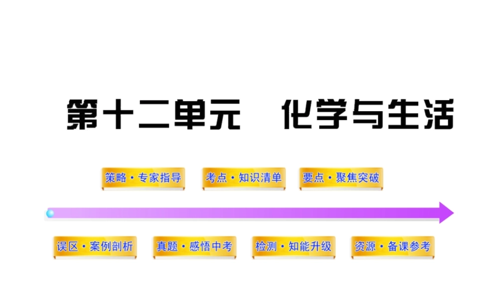 2012年中考化学第一轮复习 第十二单元 化学与生活课件 人教新课标版