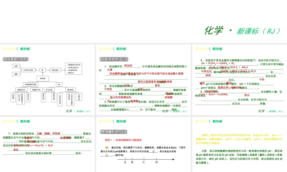 2013年春九年级化学下册 第十单元 酸和碱课件 新人教版