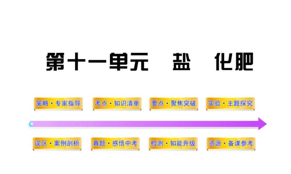 2012年中考化学第一轮复习 第十一单元 盐化肥课件 人教新课标版