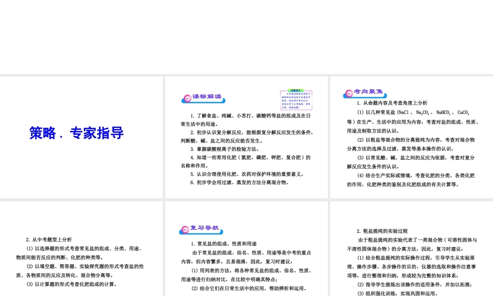 2012年中考化学第一轮复习 第十一单元 盐化肥课件 人教新课标版