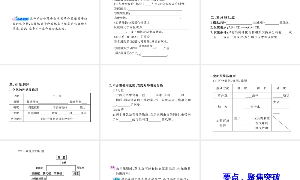 2012年中考化学第一轮复习 第十一单元 盐化肥课件 人教新课标版