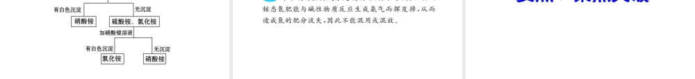 2012年中考化学第一轮复习 第十一单元 盐化肥课件 人教新课标版