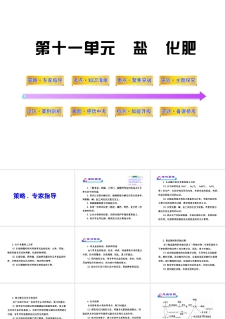2012年中考化学第一轮复习 第十一单元 盐化肥课件 人教新课标版