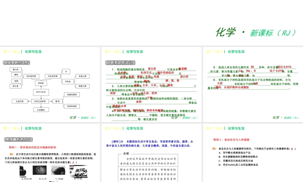2013年春九年级化学下册 第十二单元 化学与生活课件 新人教版
