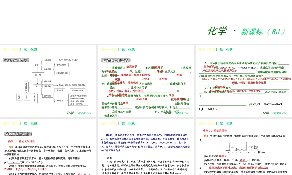 2013年春九年级化学下册 第十一单元 盐　化肥课件 新人教版