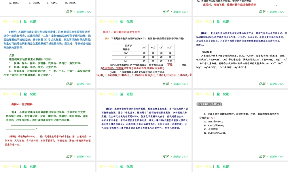 2013年春九年级化学下册 第十一单元 盐　化肥课件 新人教版