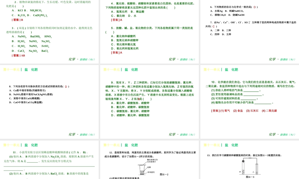 2013年春九年级化学下册 第十一单元 盐　化肥课件 新人教版