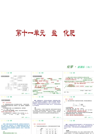 2013年春九年级化学下册 第十一单元 盐　化肥课件 新人教版