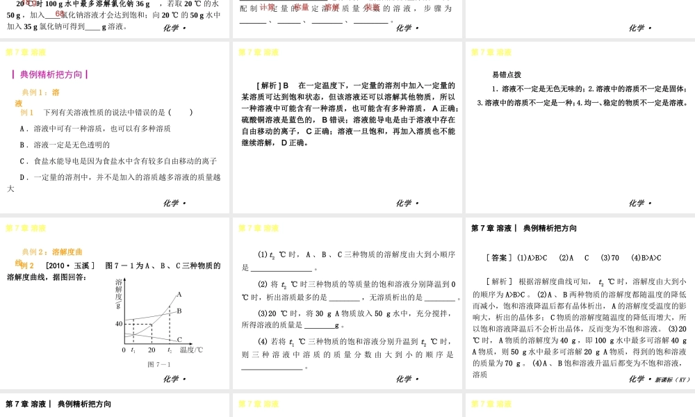 2013年春学期九年级化学 第7章 溶液课件 人教新课标版