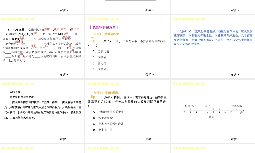 2013年春学期九年级化学 第8章 常见的酸、碱、盐课件 人教新课标版