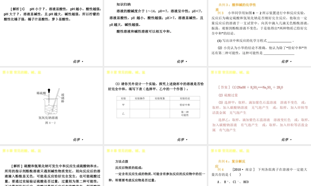 2013年春学期九年级化学 第8章 常见的酸、碱、盐课件 人教新课标版
