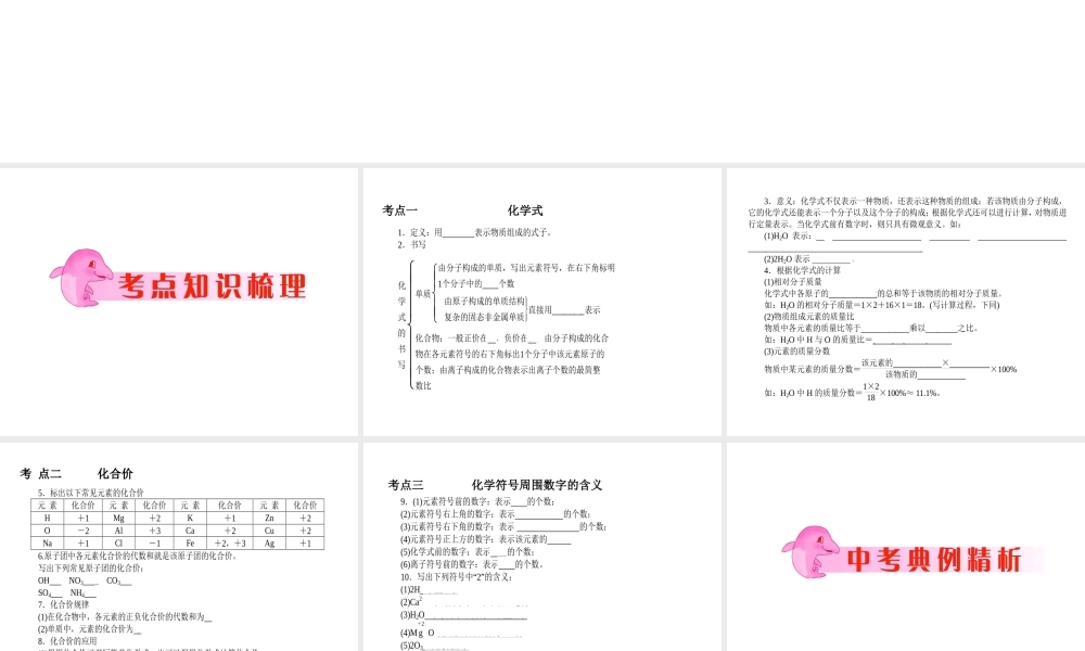2012年中考化学第一轮复习 专题2《化学式和化合价》课件 人教新课标版