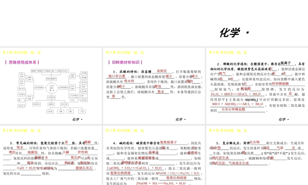 2013年九年级化学春学期 第8章-常见的酸、碱、盐教材配套课件 粤教版