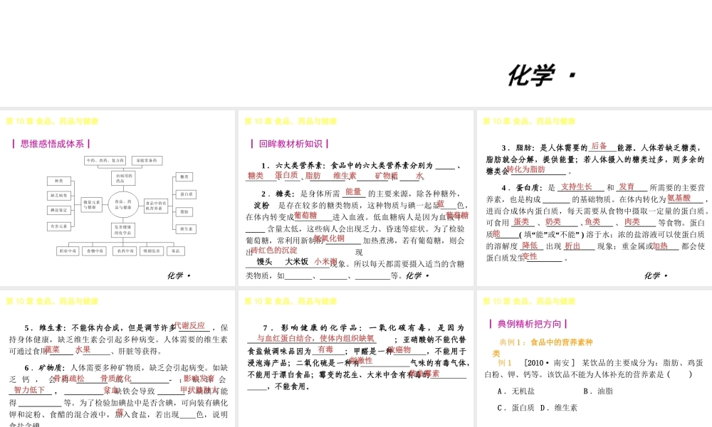 2013年九年级化学春学期 第10章-食品、药品与健康教材配套课件 粤教版