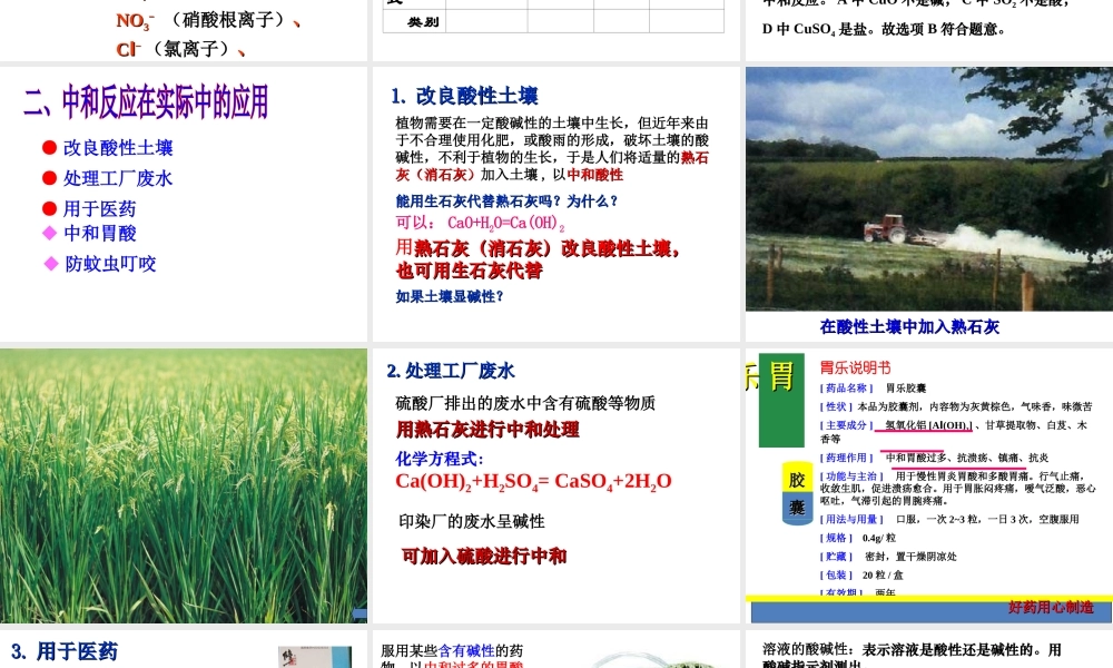 2013年九年级化学下册 10.2 酸和碱的中和反应课件 新人教版