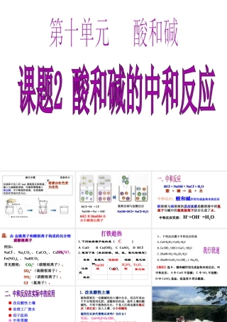 2013年九年级化学下册 10.2 酸和碱的中和反应课件 新人教版
