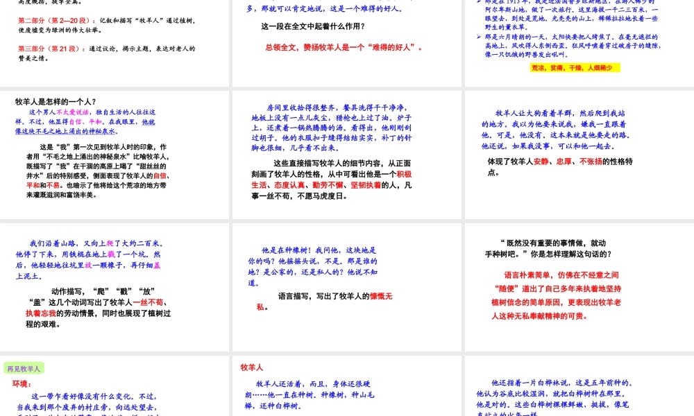13.植树的牧羊人课件
