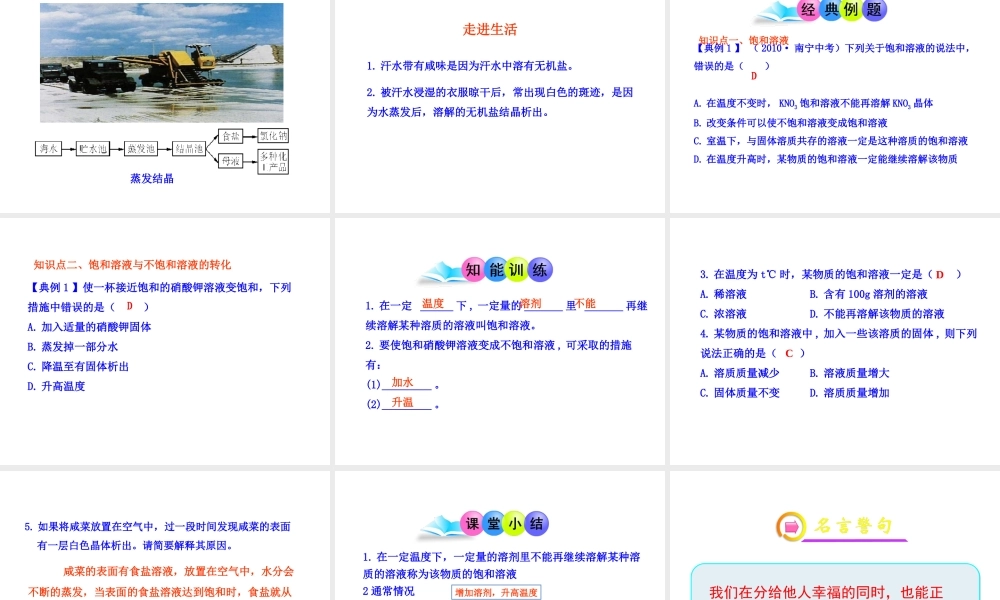 2013年九年级化学下册 第九单元 课题1 饱和溶液教学课件 新人教版（新课标）
