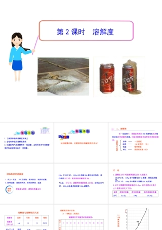 2013年九年级化学下册 第九单元 课题2 溶解度教学课件 新人教版（新课标）