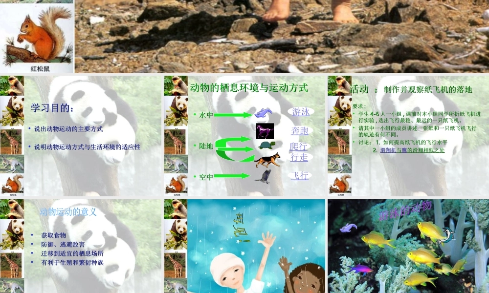 15.1动物运动的方式