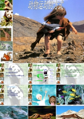 15.1动物运动的方式