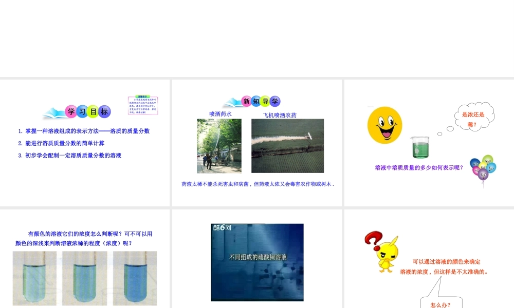 2013年九年级化学下册 第九单元 课题3 溶质的质量分数教学课件 新人教版（新课标）