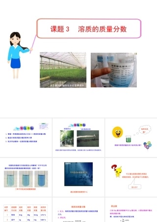 2013年九年级化学下册 第九单元 课题3 溶质的质量分数教学课件 新人教版（新课标）