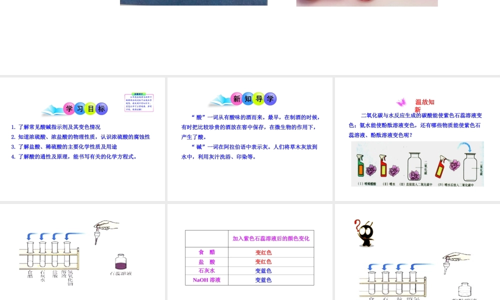 2013年九年级化学下册 第十单元 课题1 常见的酸教学课件 新人教版（新课标）