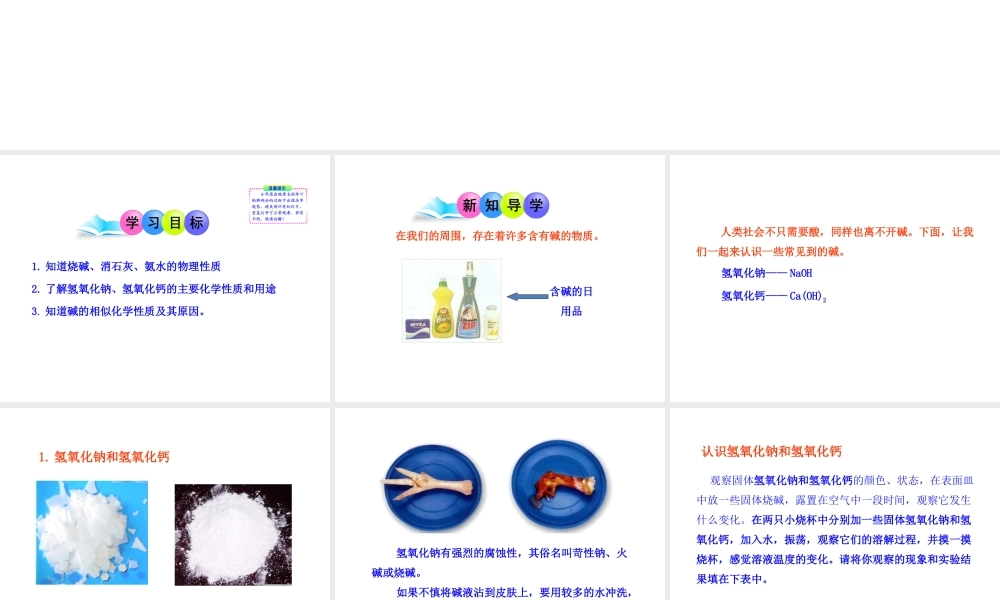 2013年九年级化学下册 第十单元 课题2 常见的碱教学课件 新人教版（新课标）