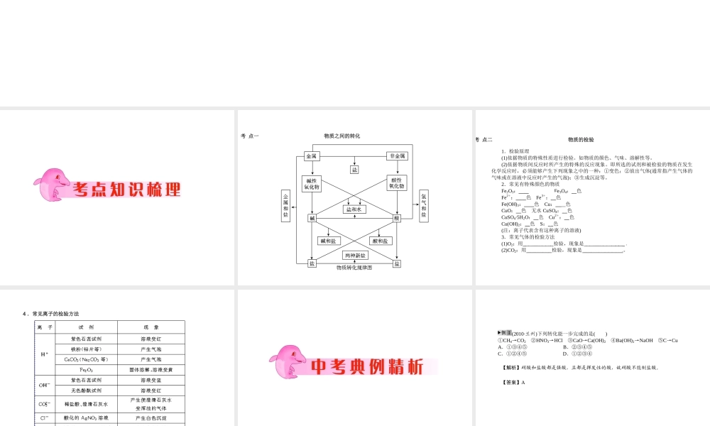 2012年中考化学第一轮复习 专题12《物质的转化和检验》课件 人教新课标版