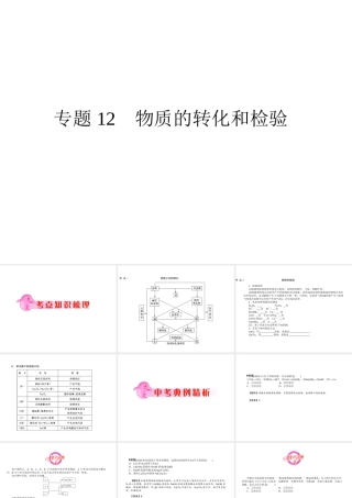 2012年中考化学第一轮复习 专题12《物质的转化和检验》课件 人教新课标版