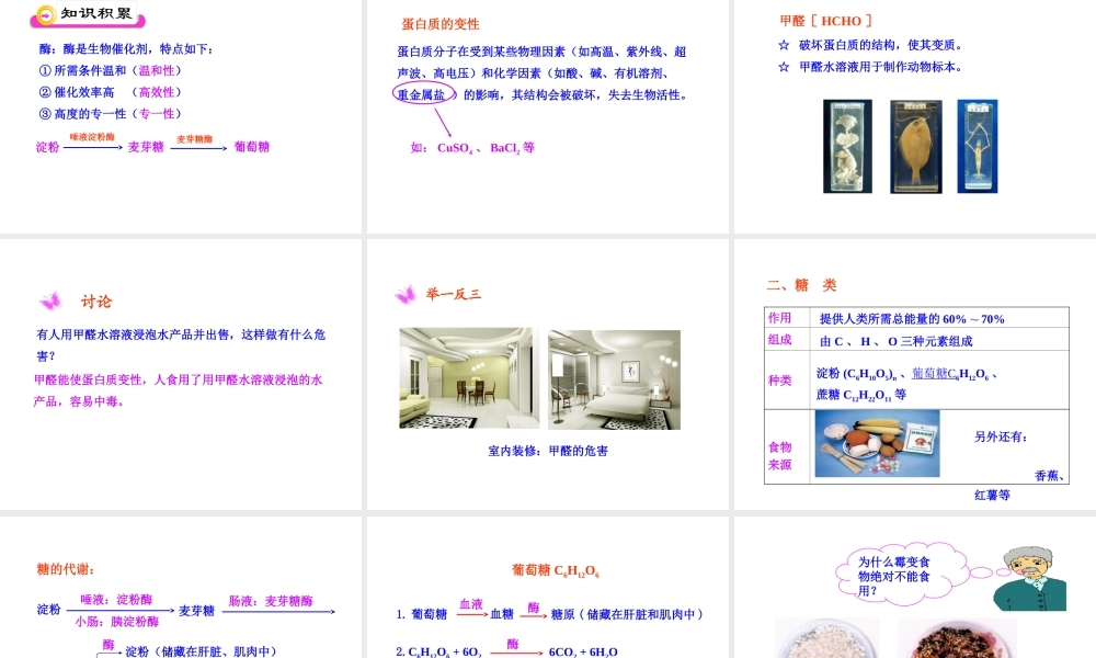 2013年九年级化学下册 第十二单元 课题1 人类重要的营养物质教学课件 新人教版（新课标）