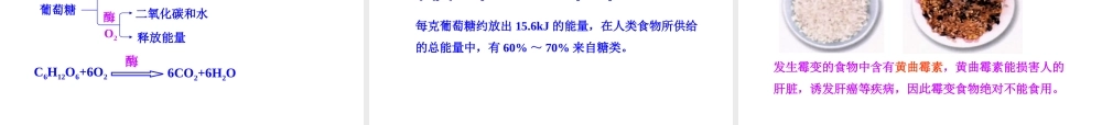 2013年九年级化学下册 第十二单元 课题1 人类重要的营养物质教学课件 新人教版（新课标）