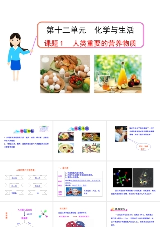2013年九年级化学下册 第十二单元 课题1 人类重要的营养物质教学课件 新人教版（新课标）