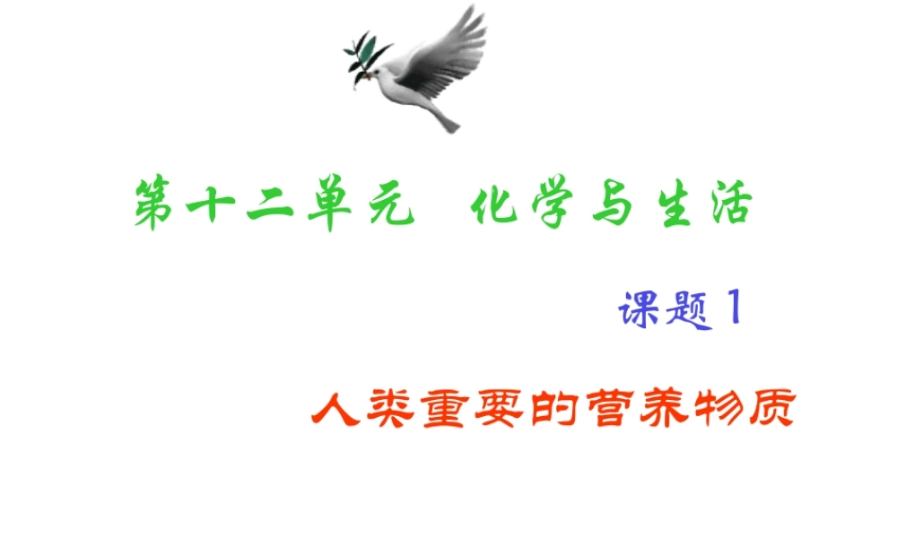 2013年九年级化学下册 第十二单元 课题1 人类重要的营养物质课件 新人教版